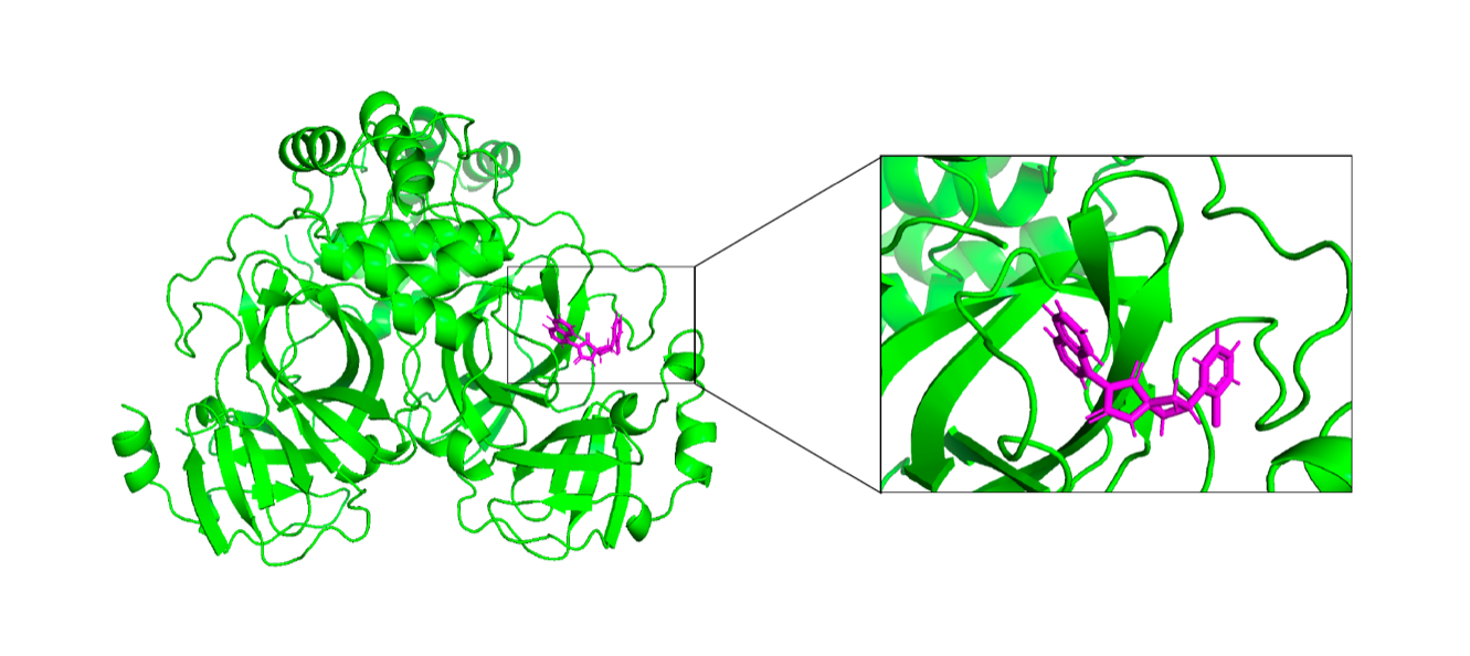 sars_ref_complex.png